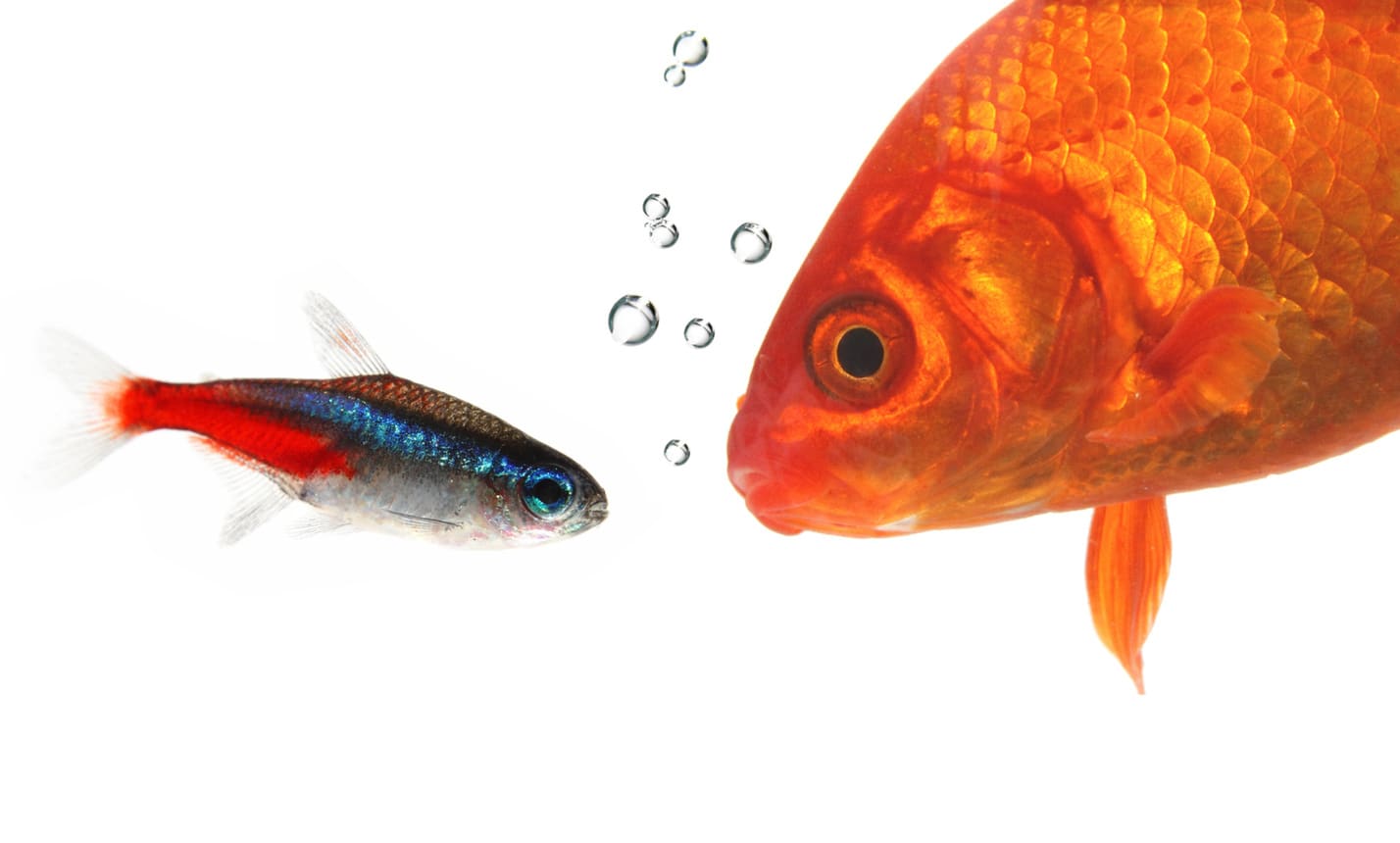Inclusive workplace culture